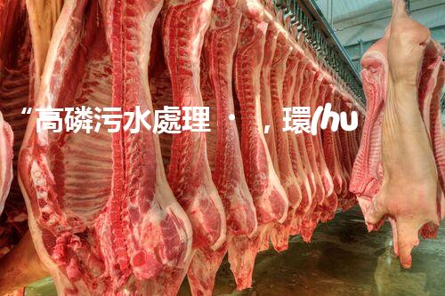 “高磷污水處理，環(huán)保先鋒，守護碧水藍天！”